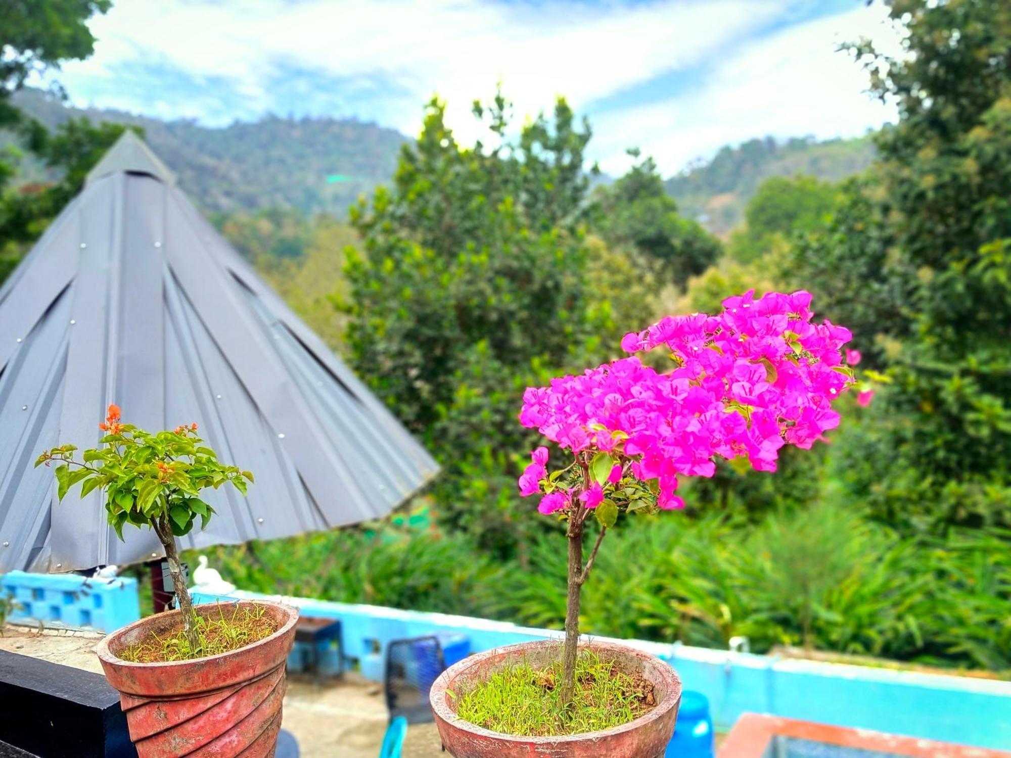 Mistey Valley Munnar Villa Anachal Exterior photo