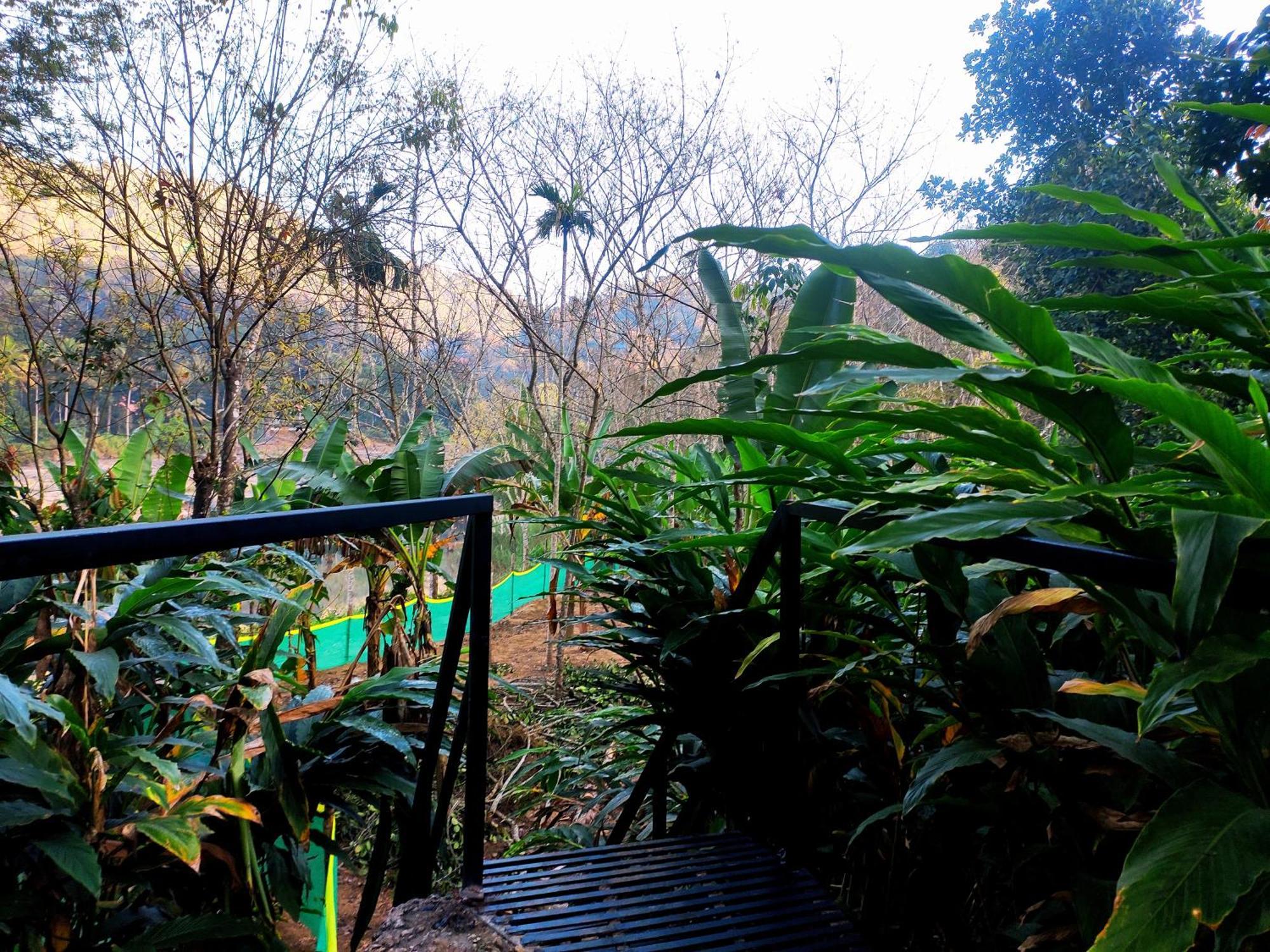 Mistey Valley Munnar Villa Anachal Exterior photo